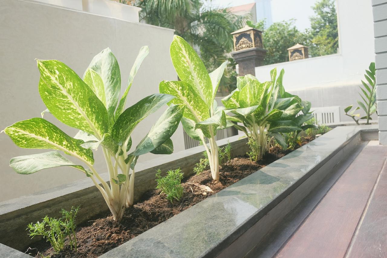 Greenwood Villa Saigon Хошимин Екстериор снимка