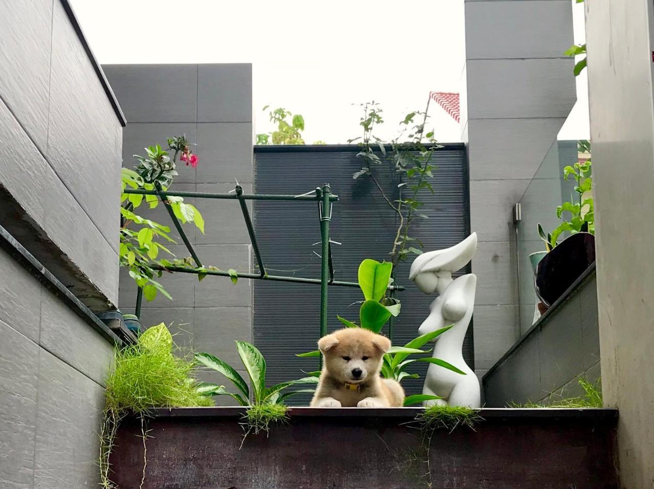 Greenwood Villa Saigon Хошимин Екстериор снимка